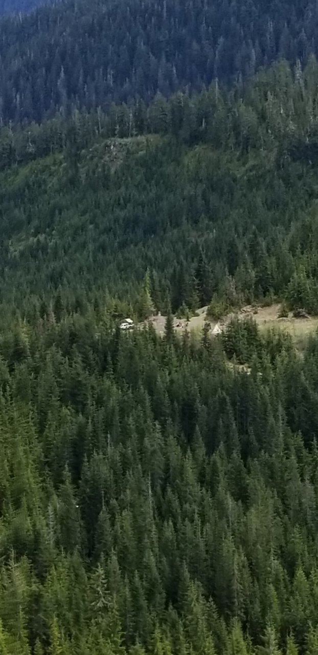 Screenshot_20190531-215202_Gallery.jpg