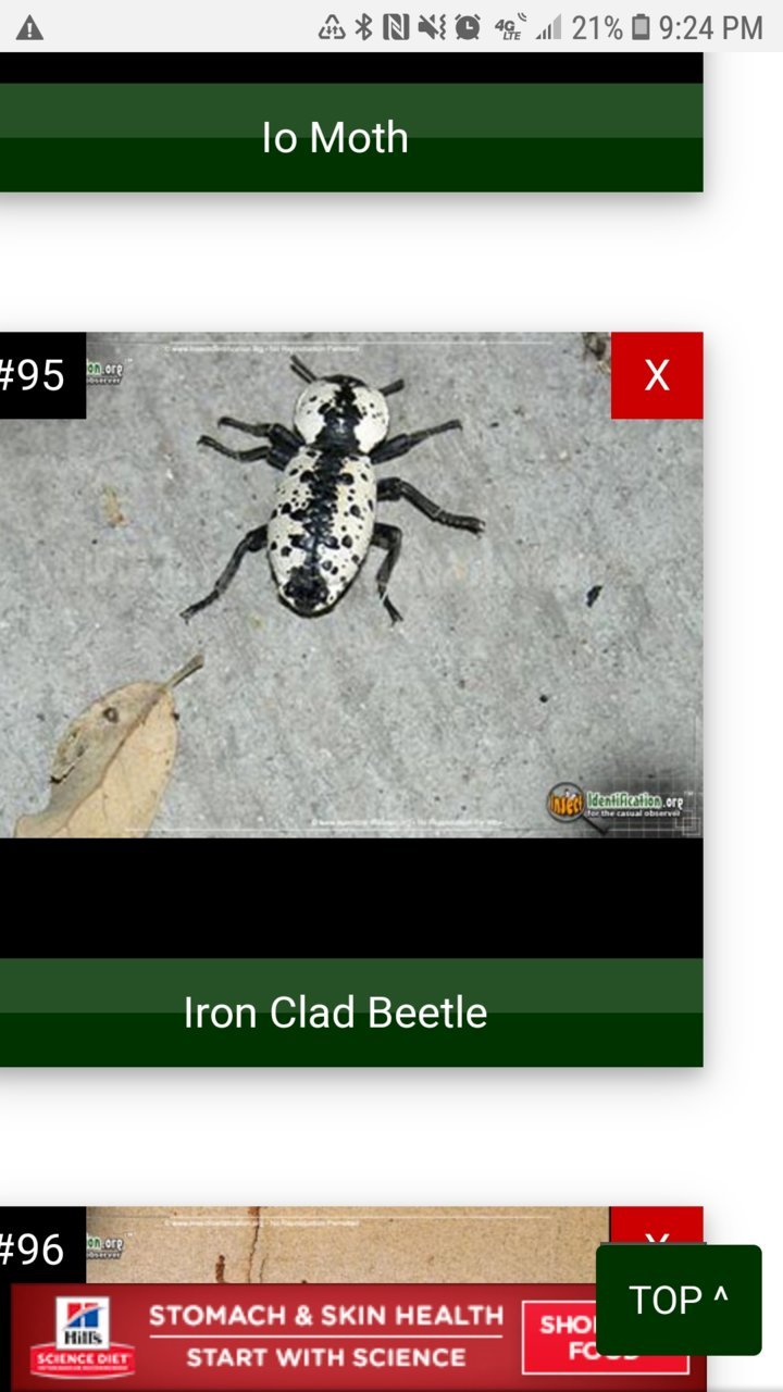 Screenshot_20190723-212455_Chrome.jpg