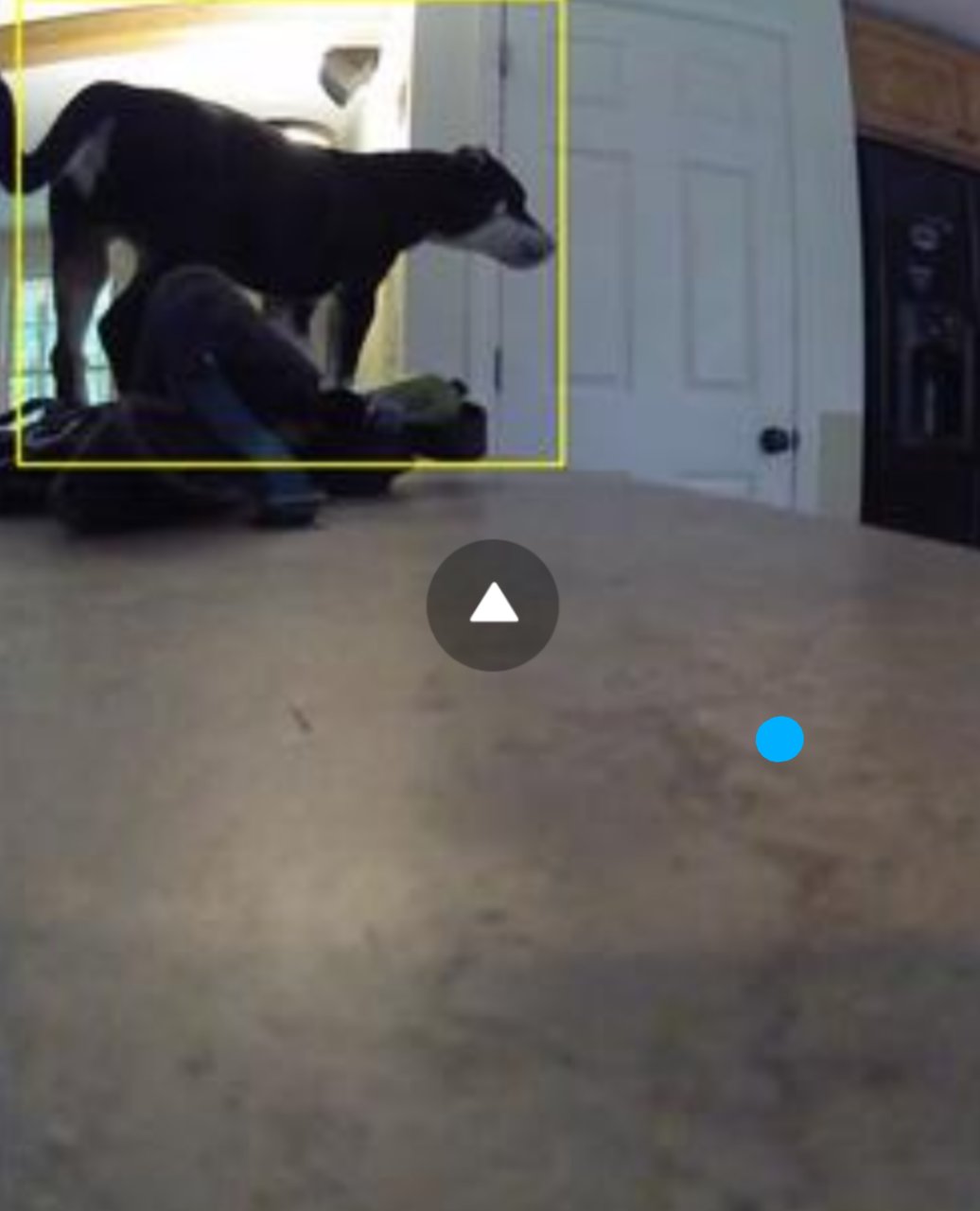 Screenshot_20190821-113302~2.jpg