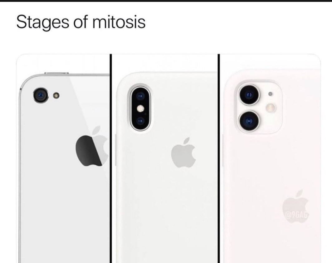 Screenshot_20190913-143758_iFunny.jpg