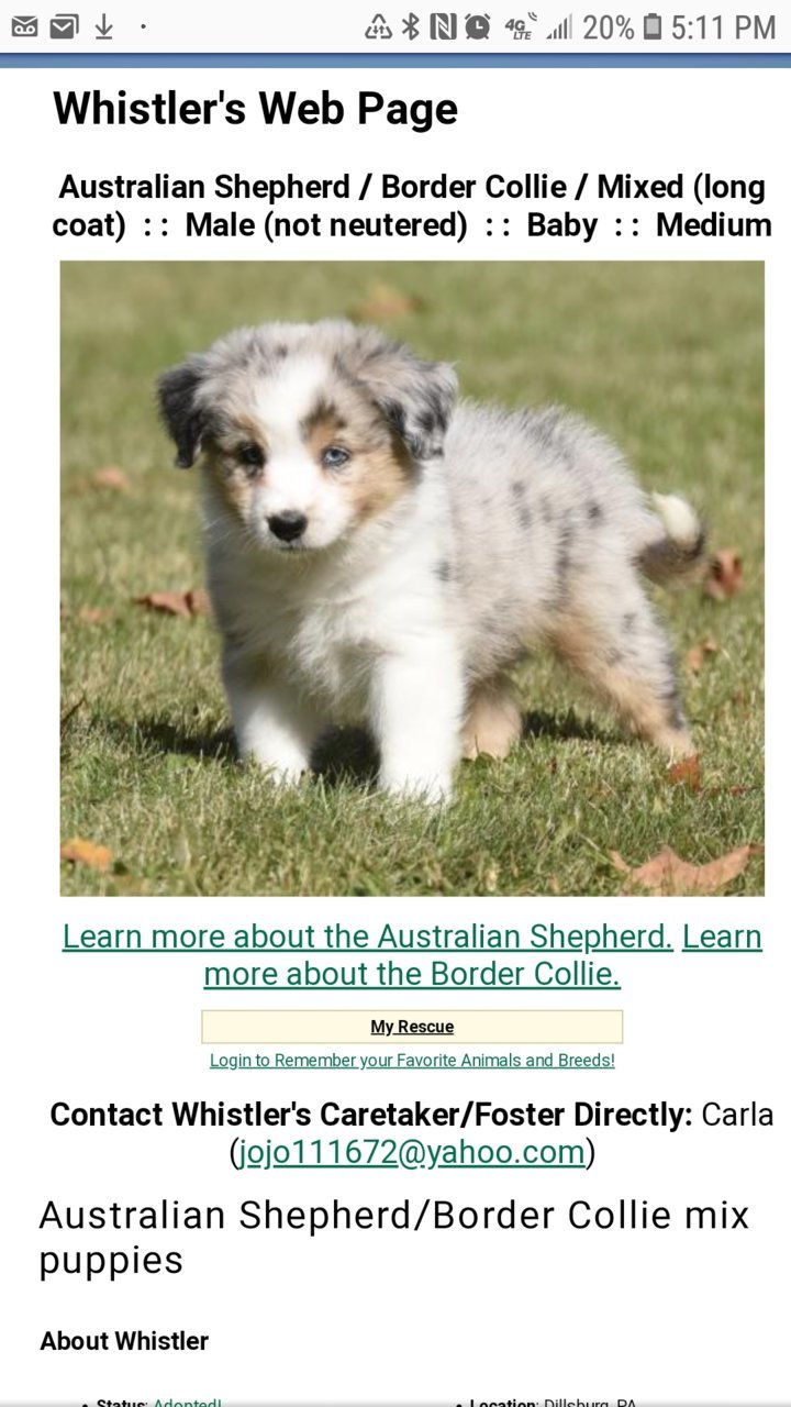 Screenshot_20191021-171116_Chrome.jpg