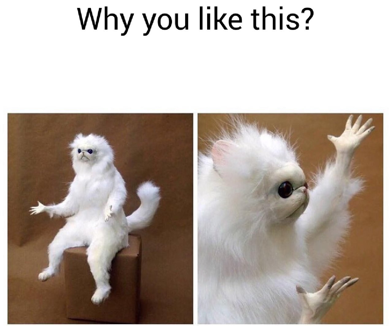 Screenshot_20191028-104129_Meme Generator Free.jpg