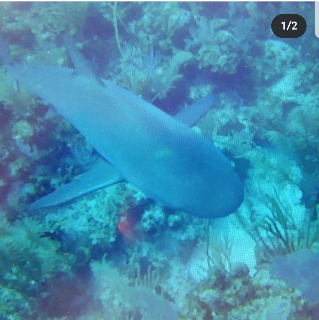 Screenshot_20191115-100833_Instagram.jpg