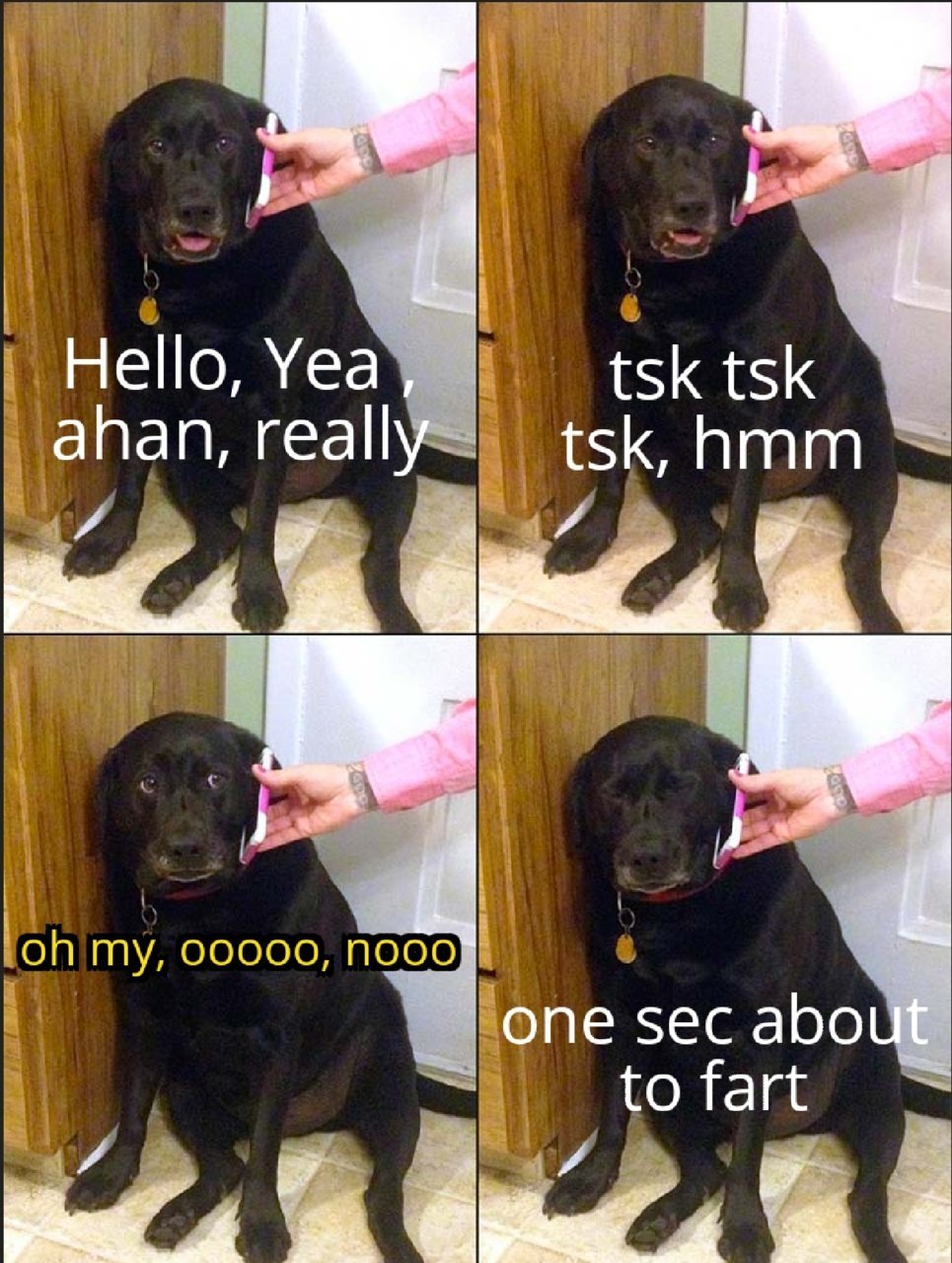Screenshot_20191126-181453_Meme Generator Free.jpg