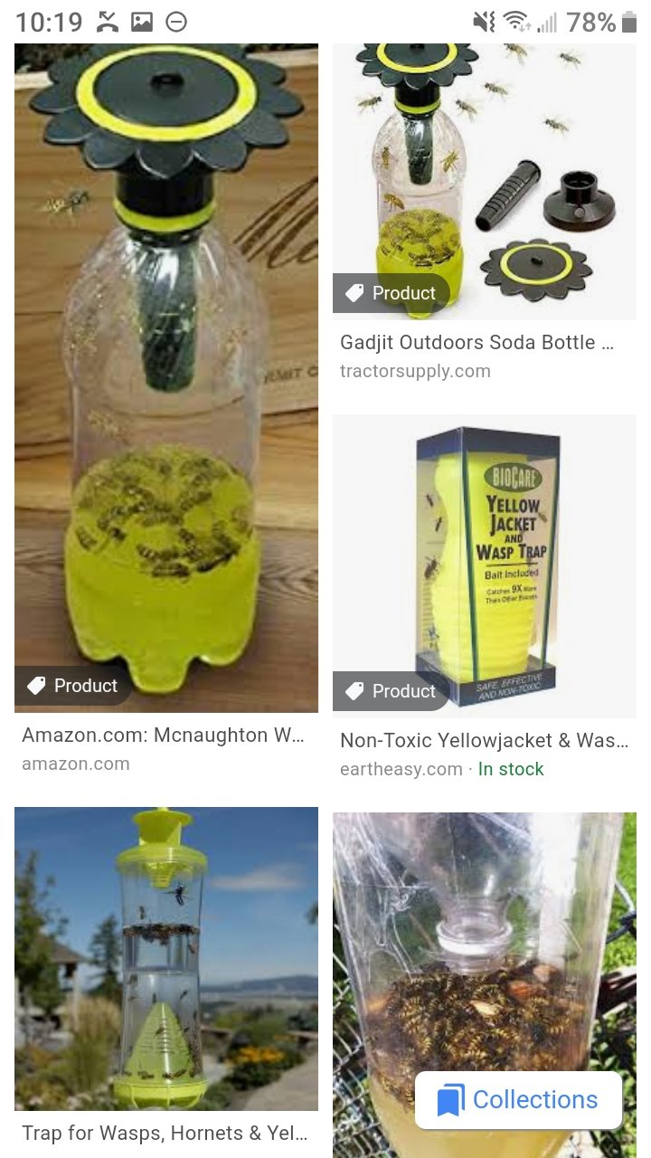 Screenshot_20191205-101921_Chrome.jpg