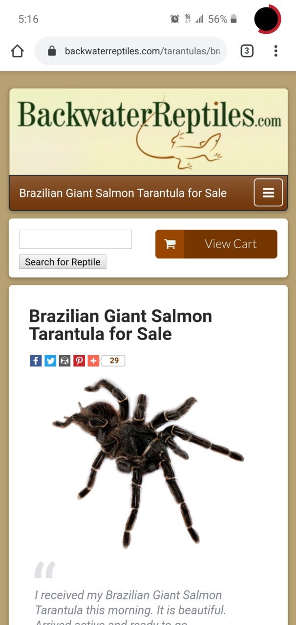 Screenshot_20200104-171657_Chrome.jpg