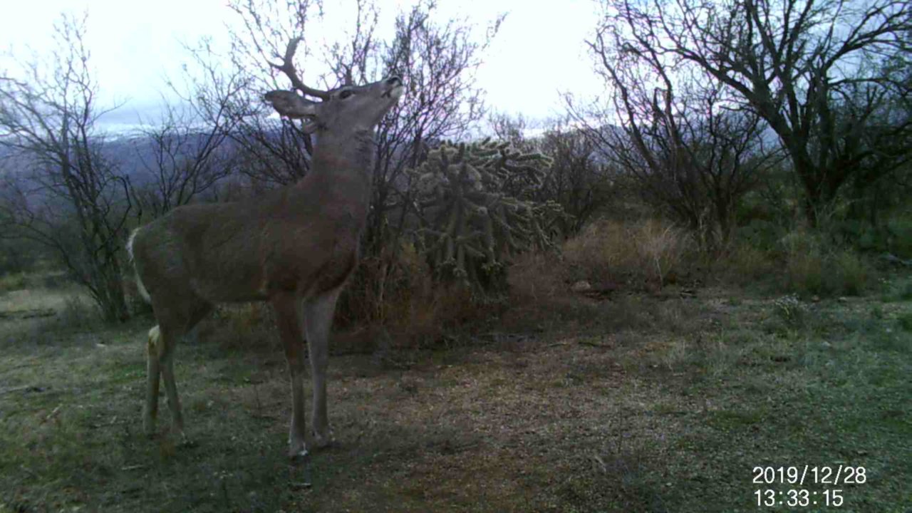 Screenshot_20200113-183143.jpg