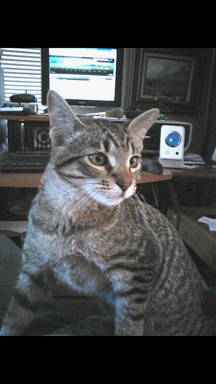 Screenshot_20200310-084714_Gallery.jpg