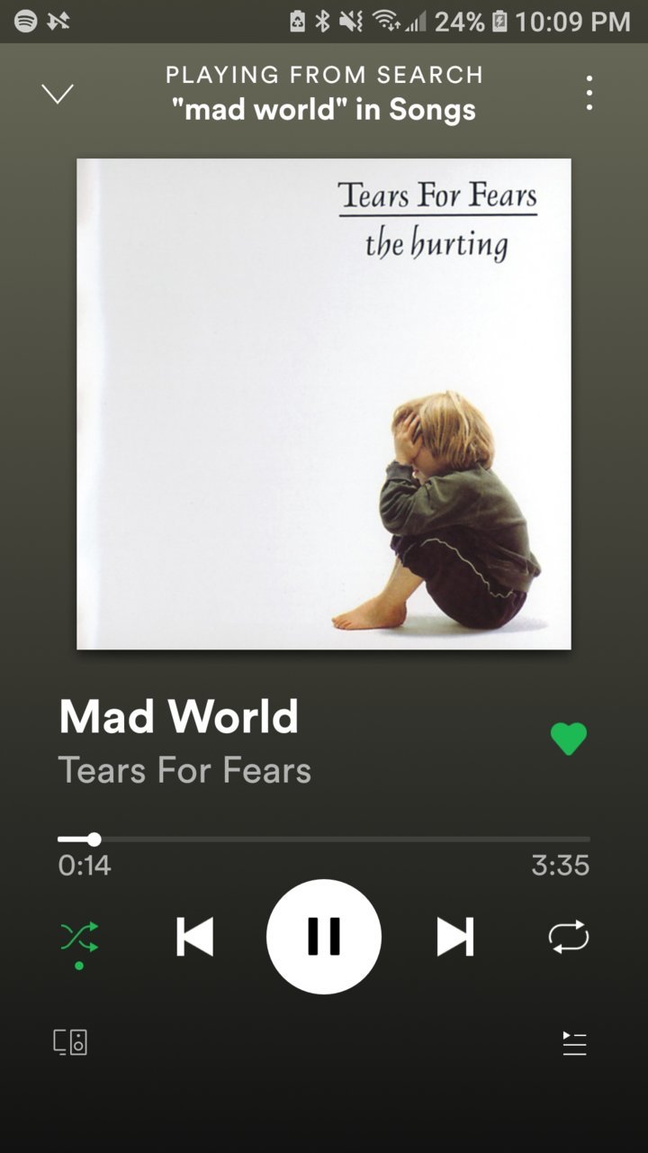 Screenshot_20200409-220957_Spotify.jpg
