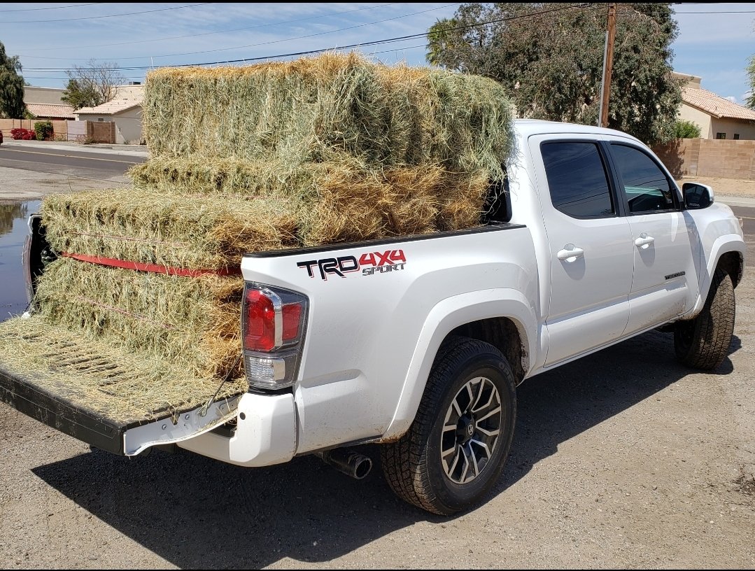 Anyone miss your full size truck after buying a Tacoma? | Page 5