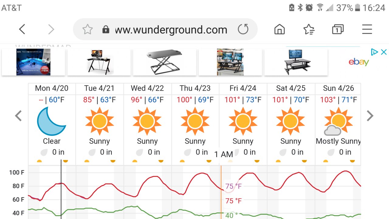 Screenshot_20200420-162437.jpg