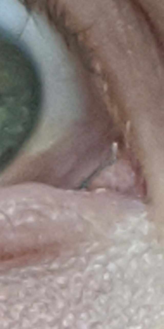 Screenshot_20200515-085046.jpg