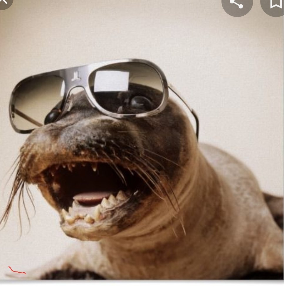 Screenshot_20200622-112641_Google.jpg