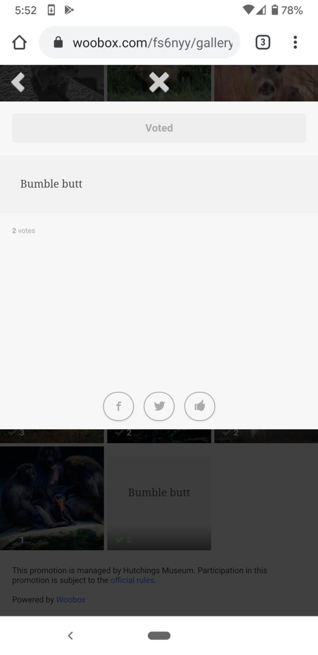 Screenshot_20200805-175300.jpg