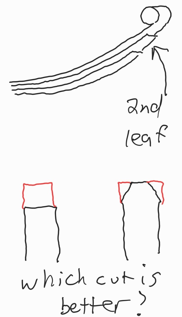 Screenshot_20200826-130217_Samsung Notes.jpg