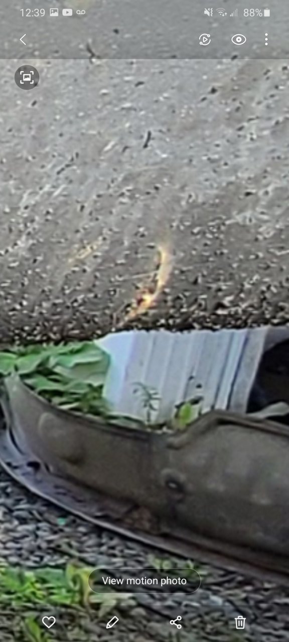 Screenshot_20200830-123913_Gallery.jpg