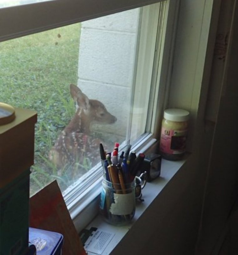 Screenshot_20200910-114143.jpg