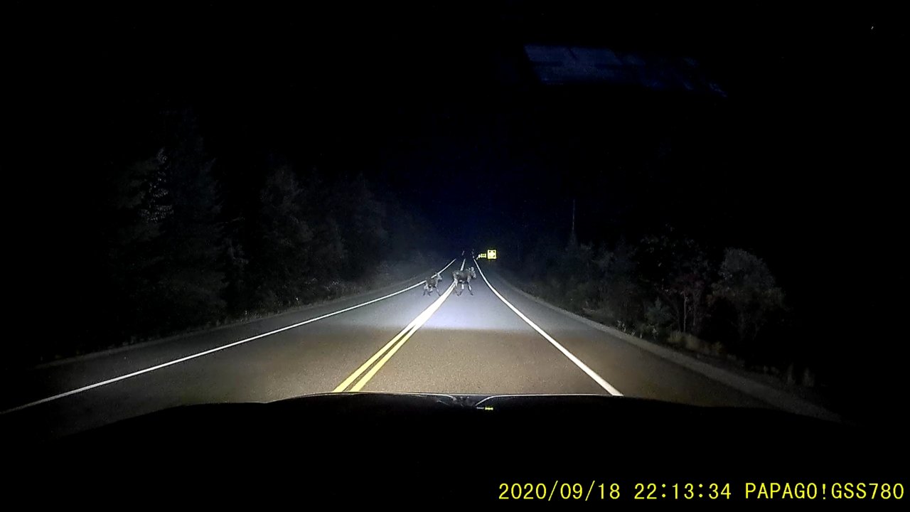Screenshot_20200918-234422.jpg