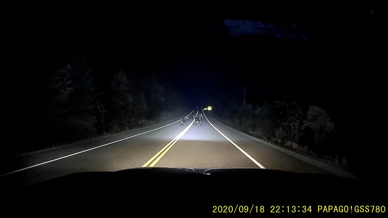 Screenshot_20200918-234422.jpg