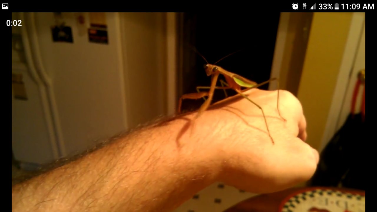 Screenshot_20201003-110945.jpg