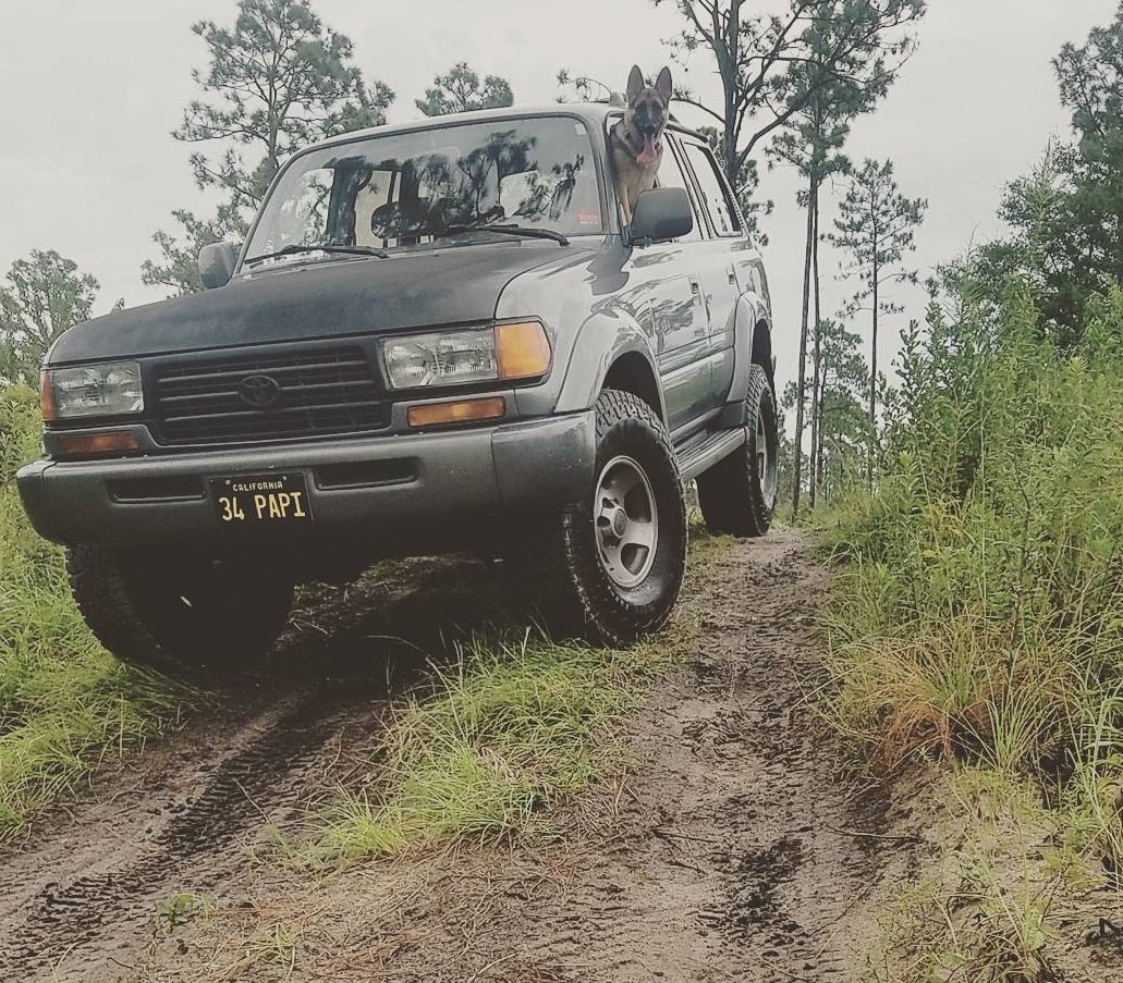 Screenshot_20201119-172559_Instagram.jpg