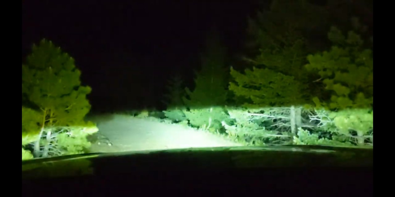 Screenshot_20201125-210538.jpg