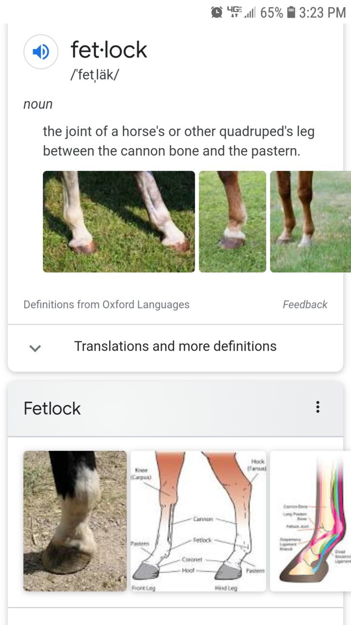 Screenshot_20201217-152312_Chrome.jpg