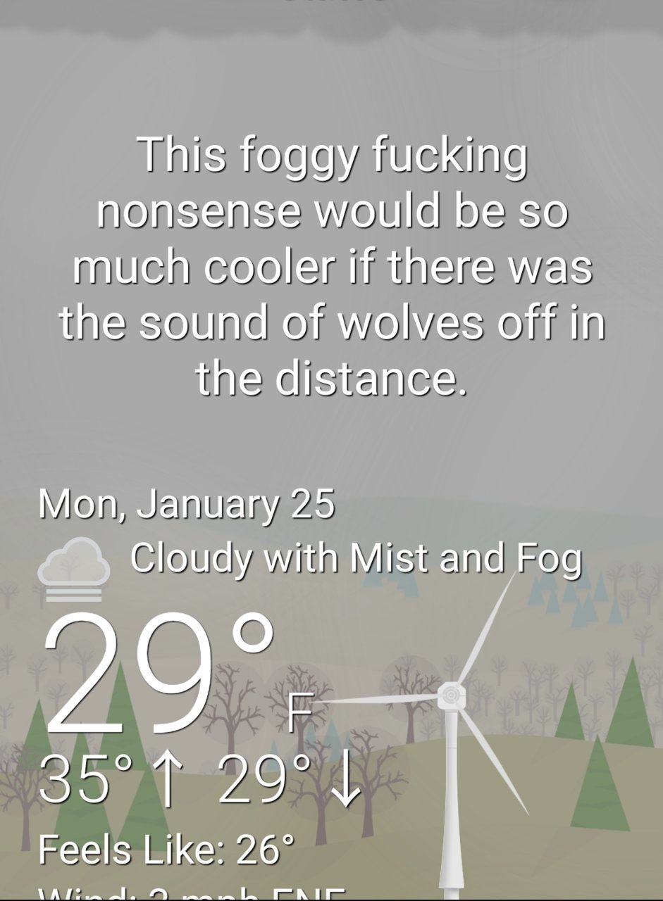 Screenshot_20210125-075406_WTForecast.jpg