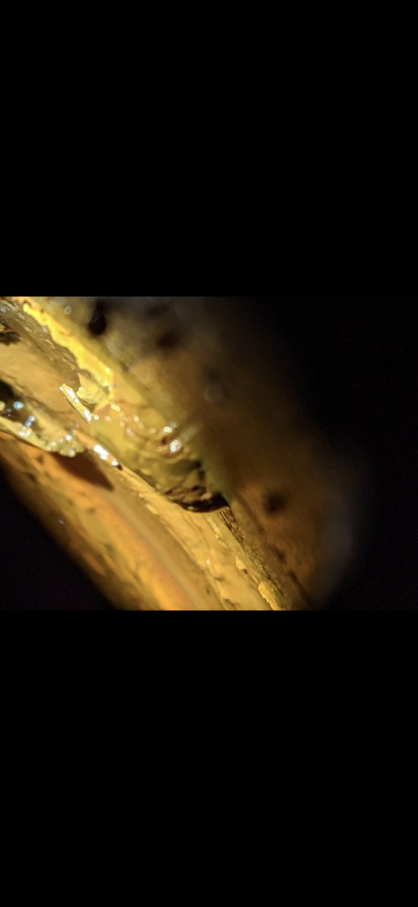 Screenshot_20210206-200712.jpg
