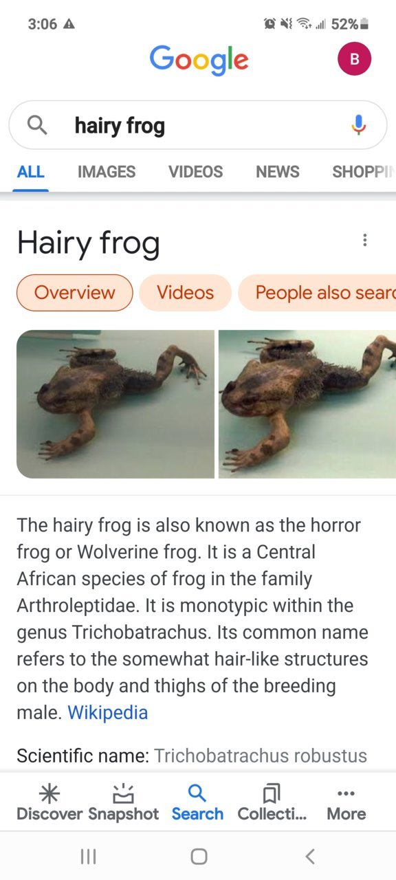 Screenshot_20210217-150640_Google.jpg