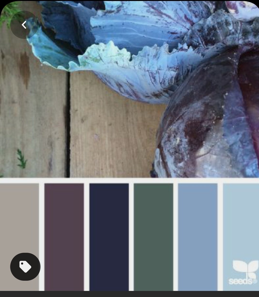 Screenshot_20210225-111544.jpg
