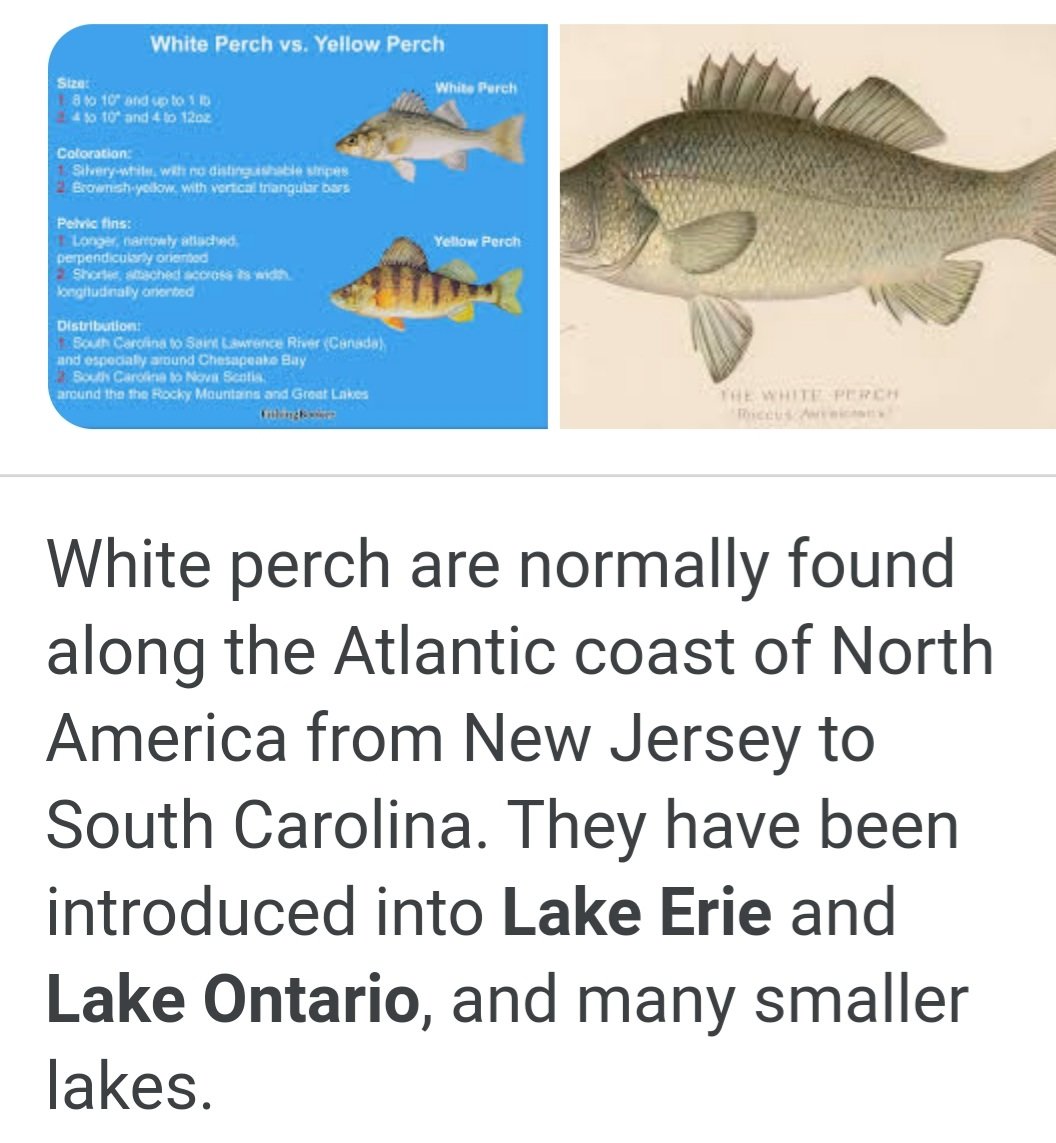 Screenshot_20210309-204909_Google.jpg