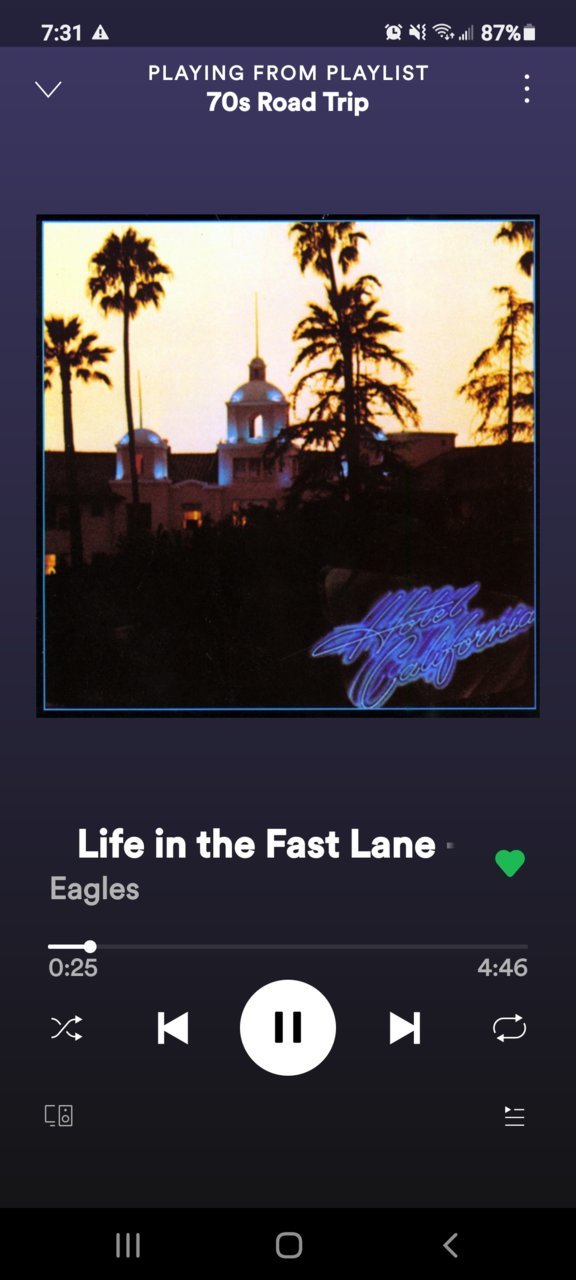 Screenshot_20210406-193151_Spotify.jpg