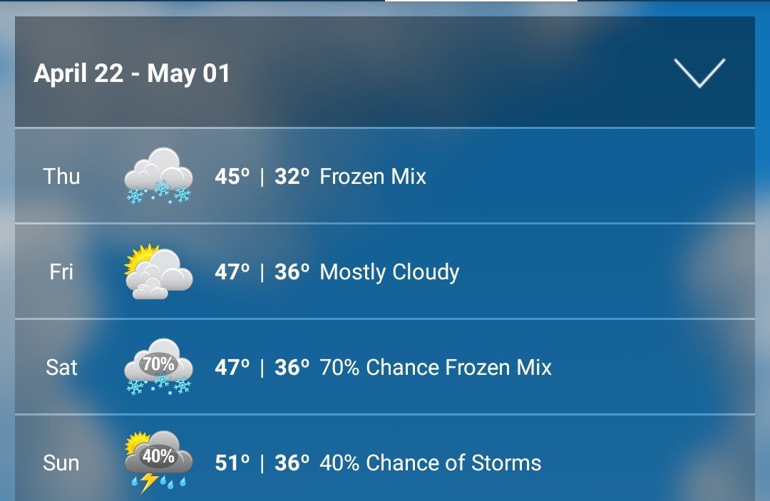 Screenshot_20210422-075029~2.jpg