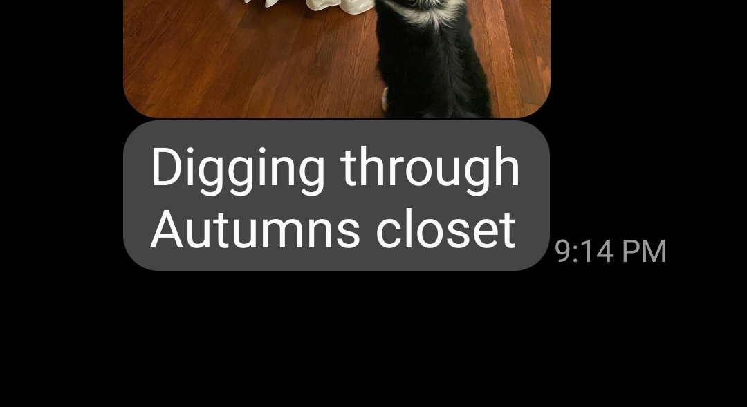 Screenshot_20210718-212621_Messages.jpg