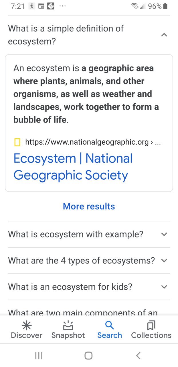 Screenshot_20210731-192159_Google.jpg