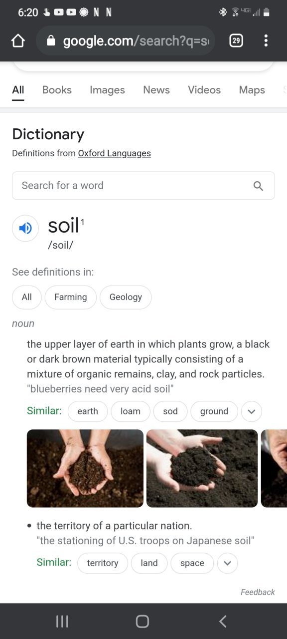 Screenshot_20210805-182033_Chrome.jpg