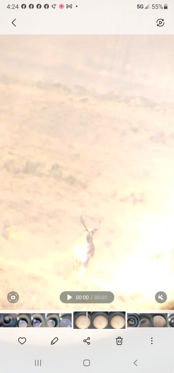 Screenshot_20210906-162444_Gallery.jpg