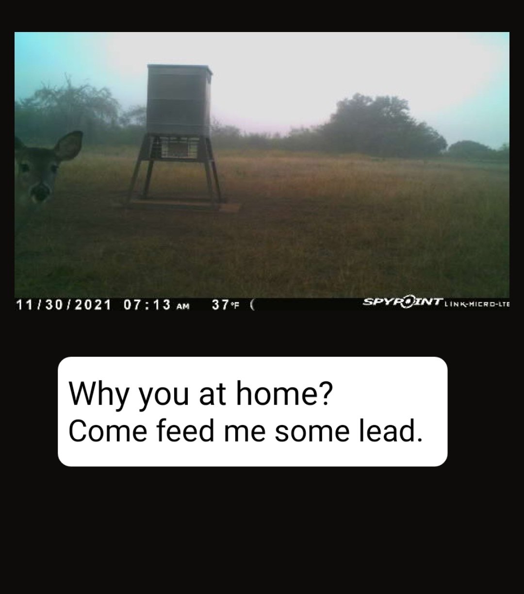 Screenshot_20211130-114412_SPYPOINT.jpg