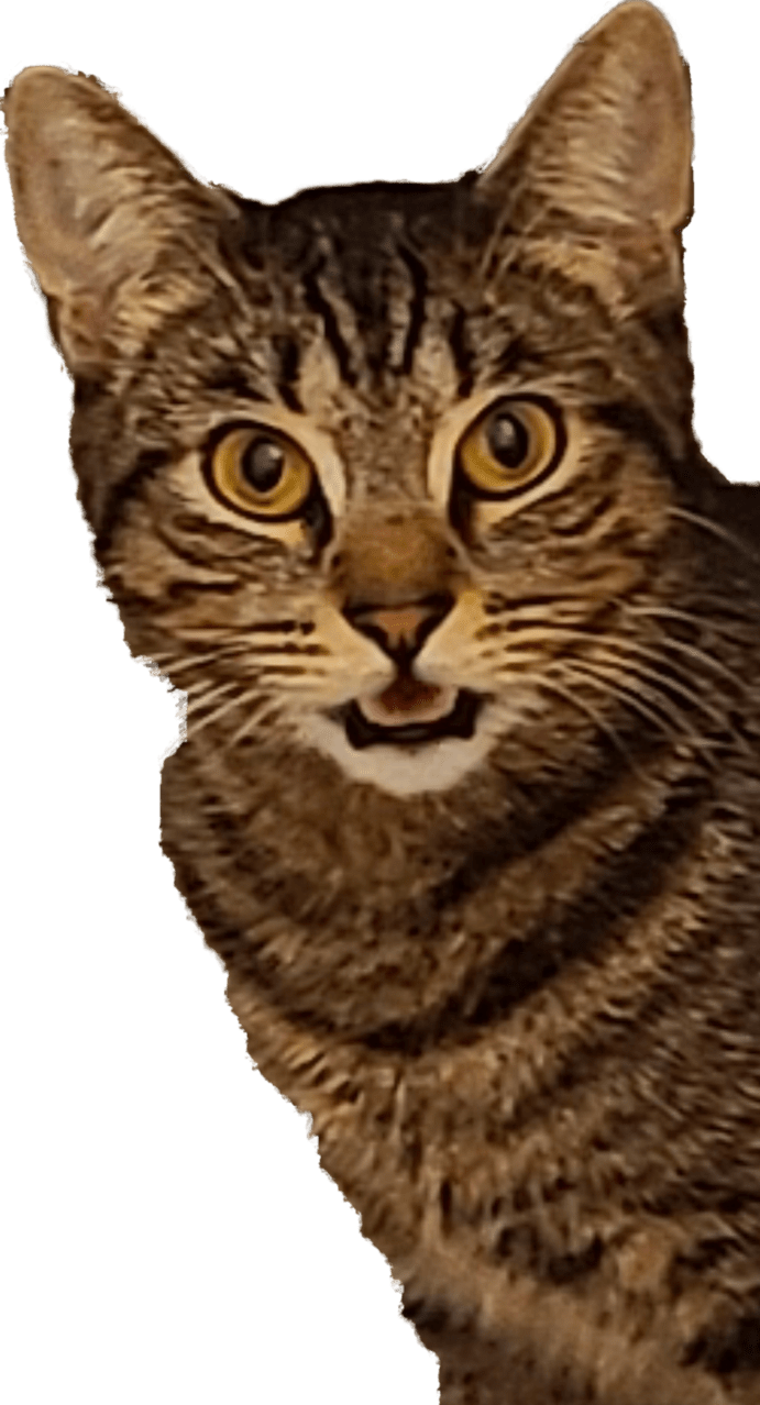 Screenshot_20211214-004101_Gallery.png