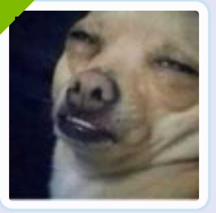Screenshot_20211221-202010_Chrome.jpg
