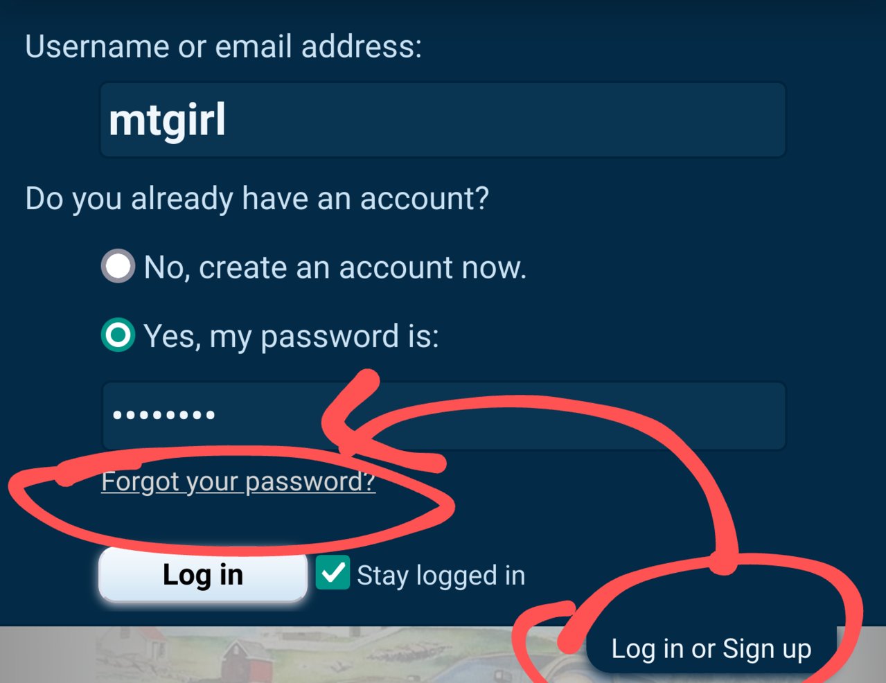 Screenshot_2022-08-11-16-34-54~3.jpg
