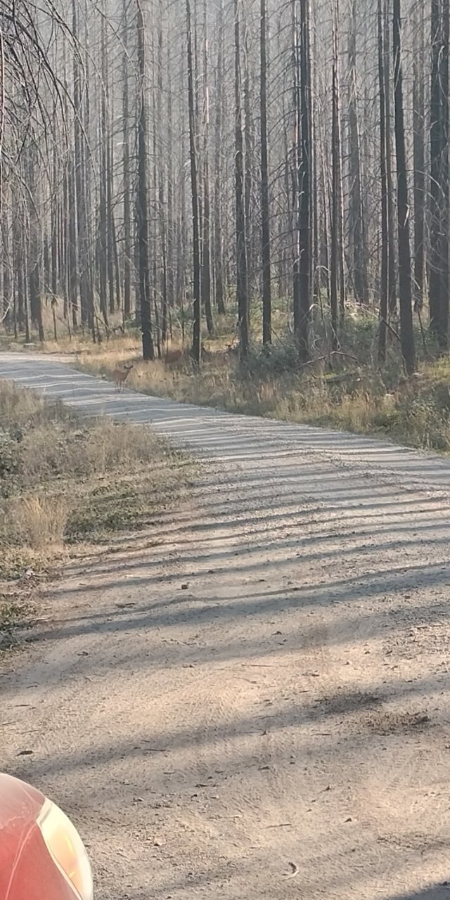 Screenshot_2022-08-29-08-43-23-552.jpg