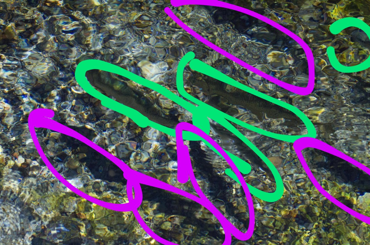 Screenshot_2022-12-01-11-45-09~2.jpg
