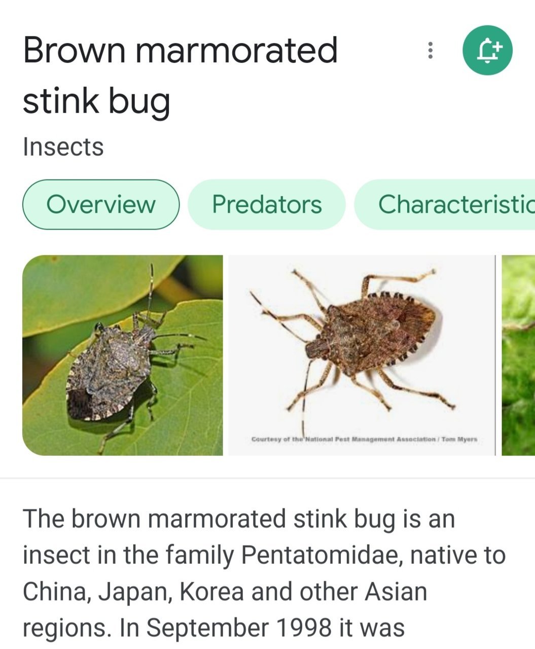 Screenshot_20220108-164248_Google.jpg