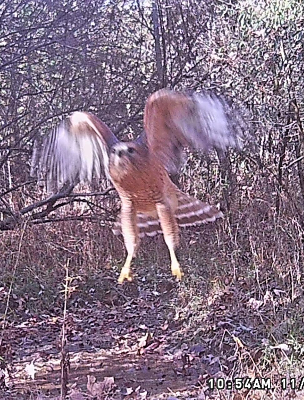 Screenshot_20220202-233630_Photos.jpg
