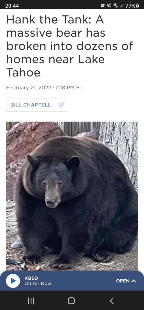 Screenshot_20220227-204419_Chrome.jpg