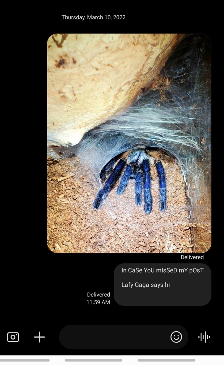 Screenshot_20220310-120001_Messages.jpg