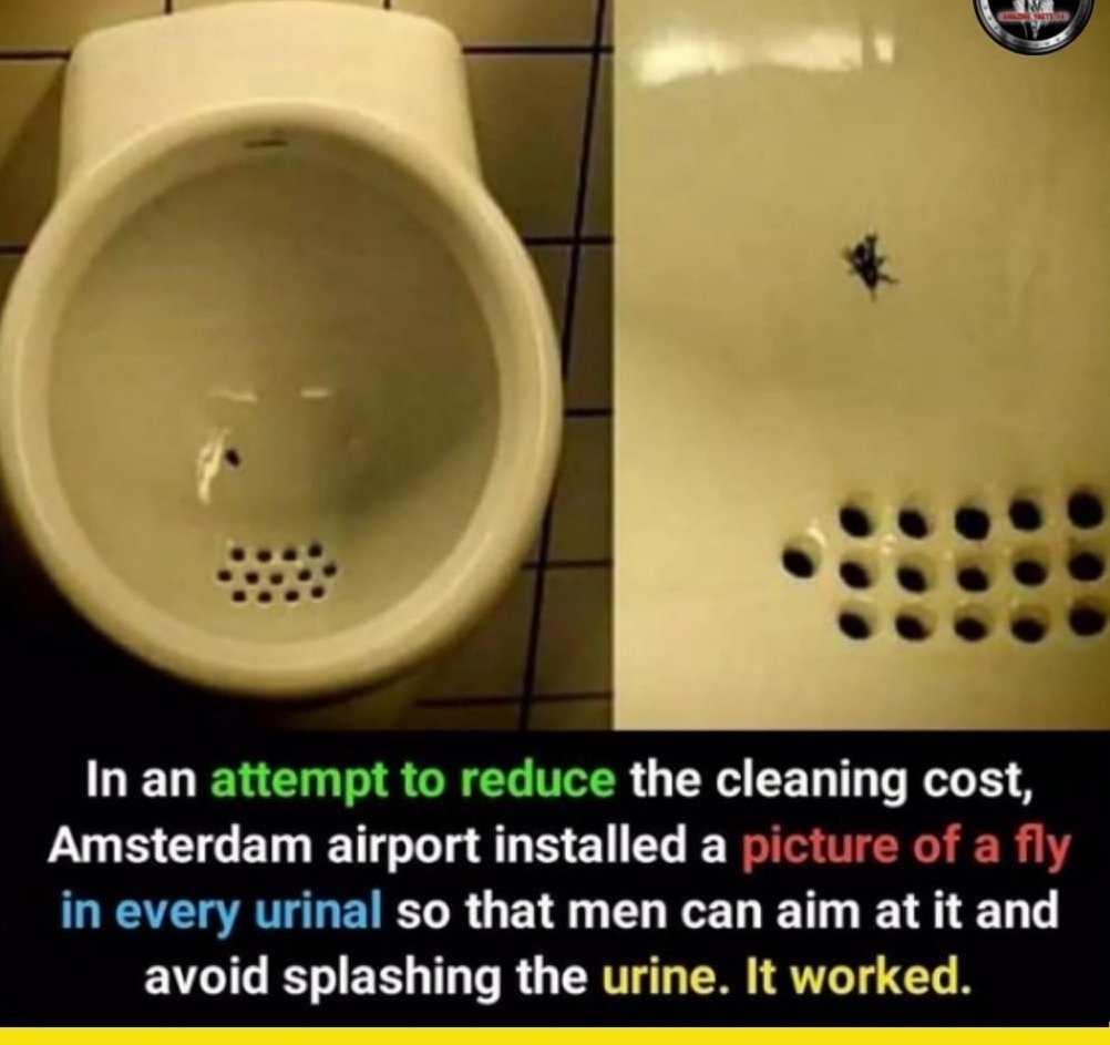 Screenshot_20220504-160445_Instagram.jpg