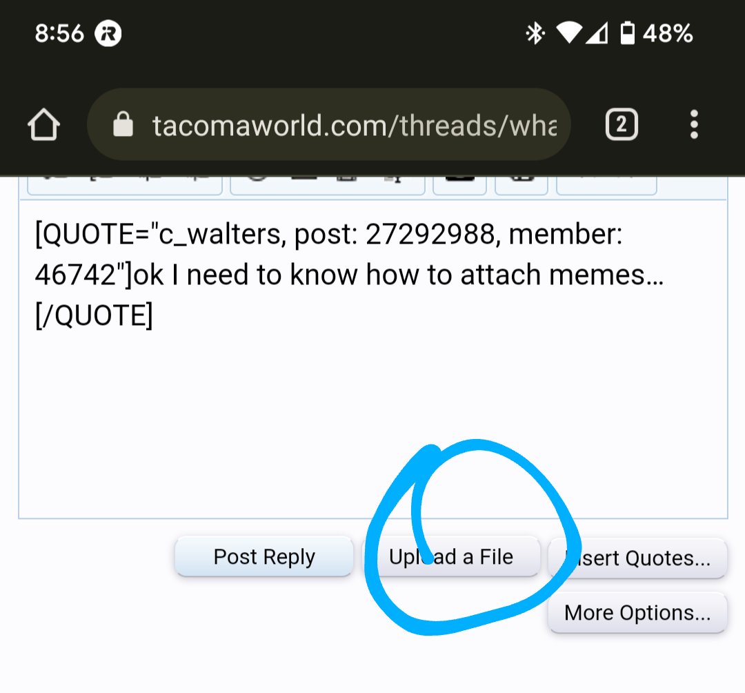 Screenshot_20220506-205655.jpg